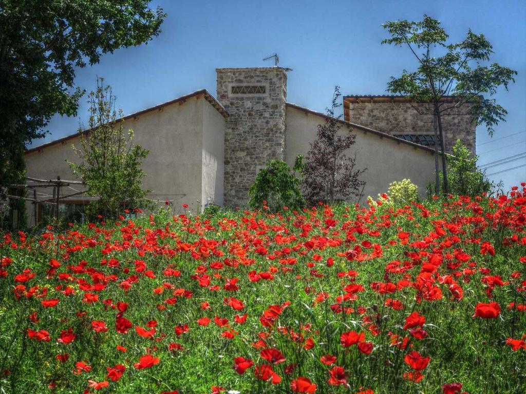 Agriturismo Cignale Penne Exterior foto